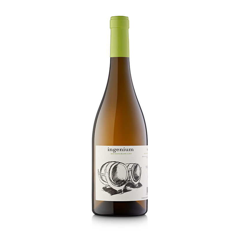 Ingenium Maturana Blanca Ingenium Maturana Blanca